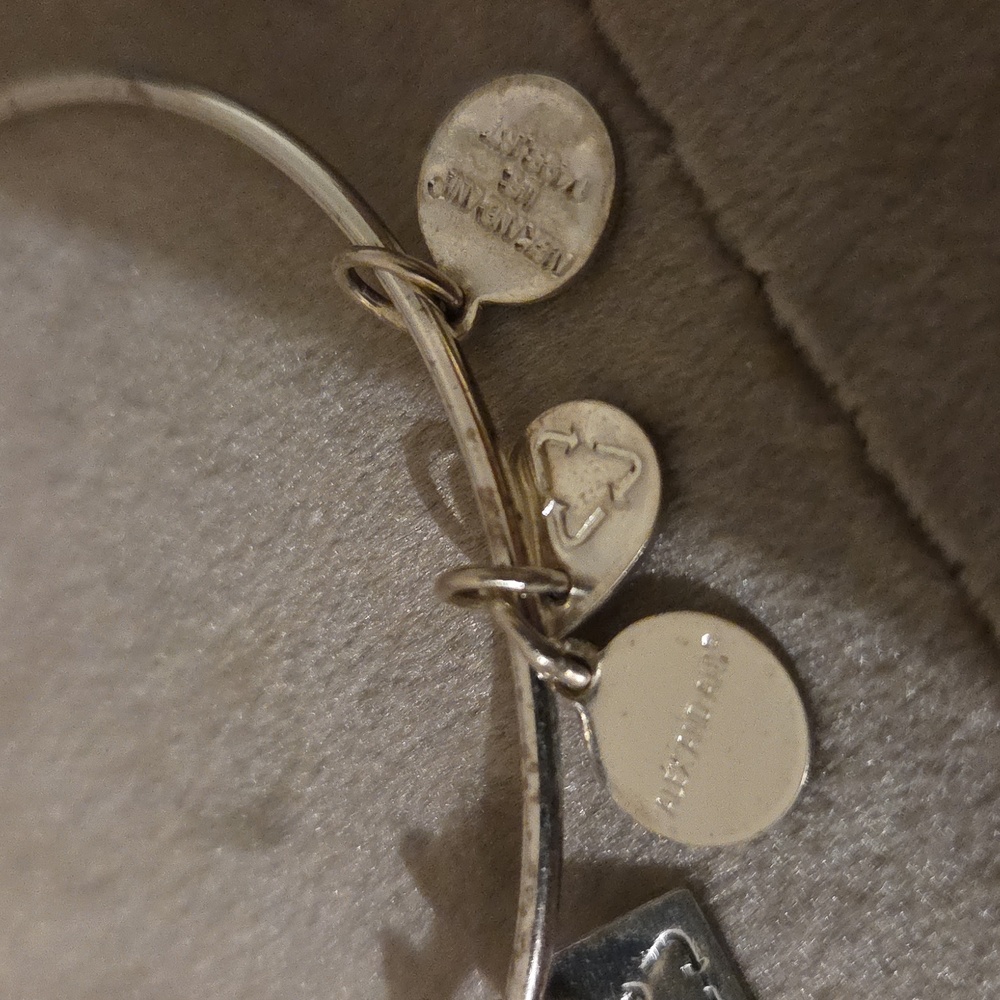 Alex and Ani Silver Bracelet with Red Heart Charm - Picture 5 of 5